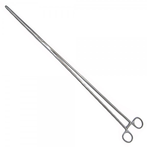 REPTILE FEEDING FORCEPS